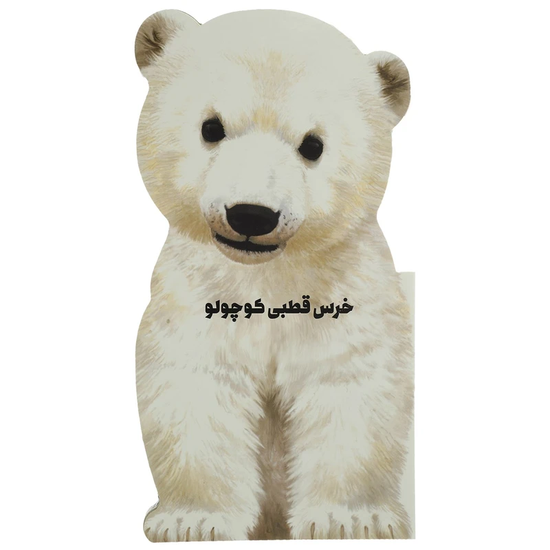 کتاب داستان زندگی خرس قطبی کوچولو اثر جیووانی کاویزل