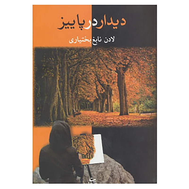 کتاب دیدار در پاییز اثر لادن نابغ بختیاری