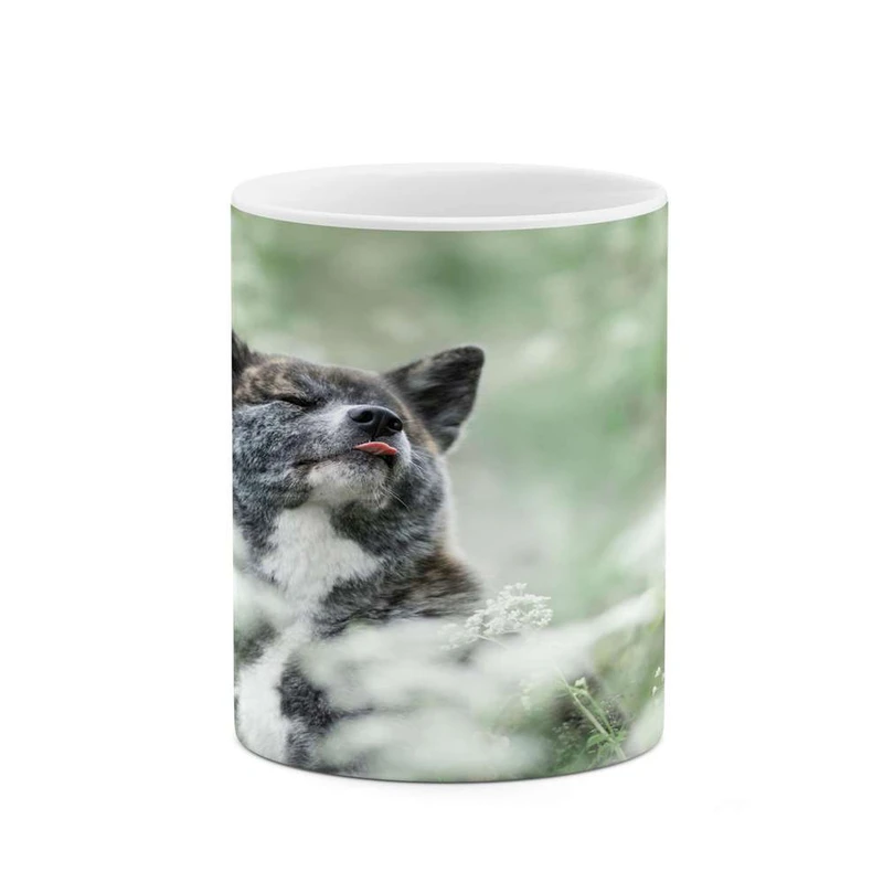 ماگ کاکتی مدل سگ کد mgh16742