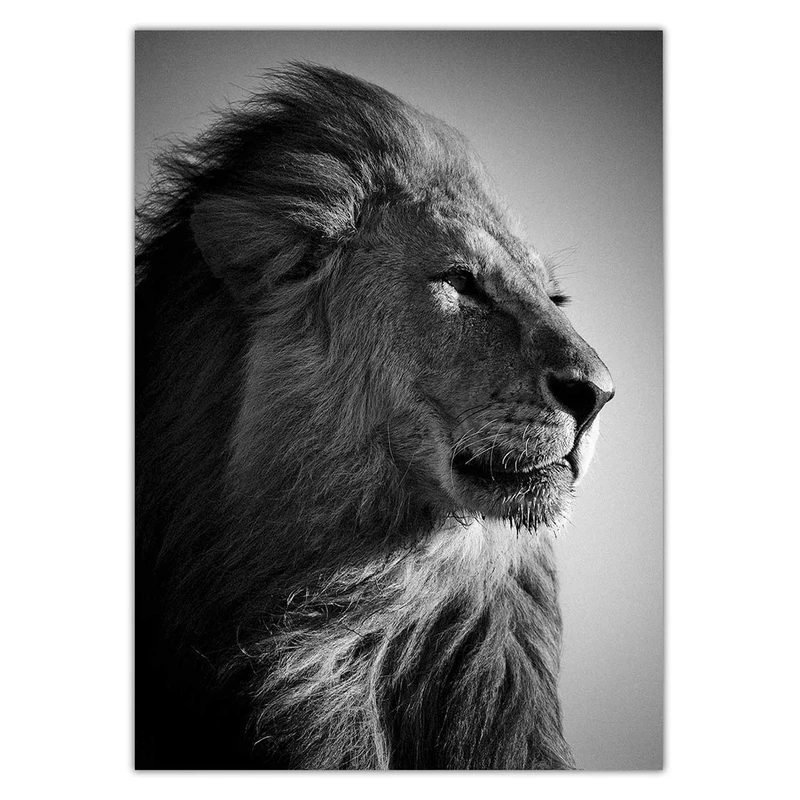 تابلو شاسی ونسونی طرح Looking Away سایز 30 × 40