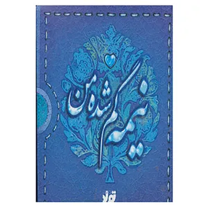 کتاب نیمه گم شده من اثر نگار ذوالفقاریان