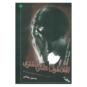 کتاب افلاطون کنار بخاری اثر حسین پناهی