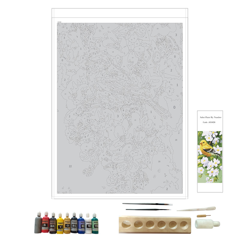 بسته رنگ آمیزی سالوت مدل آکرولیک کد 031020 مجموعه 18 عددی