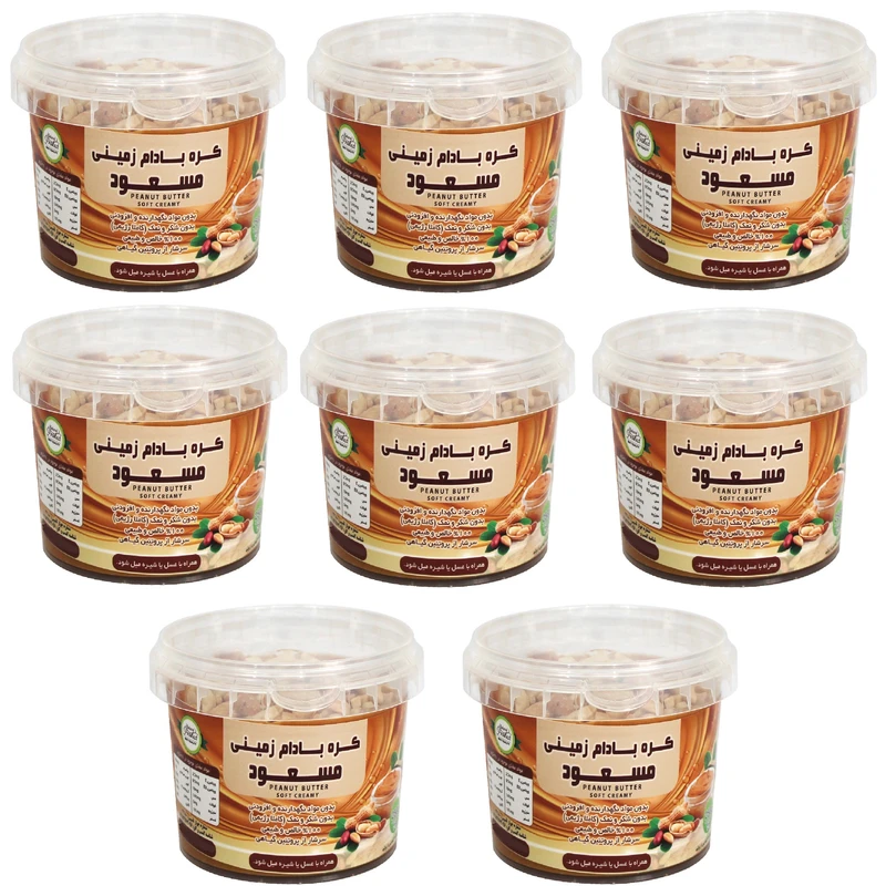 کره بادام زمینی رژیمی کرانچی مسعود - 250 گرم بسته 8 عددی