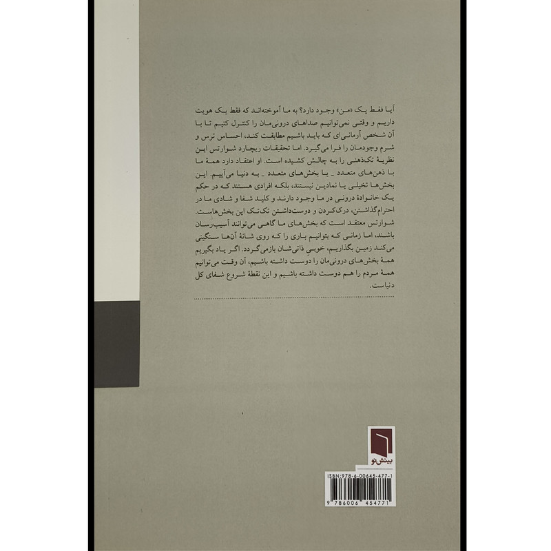 کتاب هيچ بخش از ما بد نيست اثر ريچارد شوارتس ترجمه حامد حكيمی انتشارات بينش نو