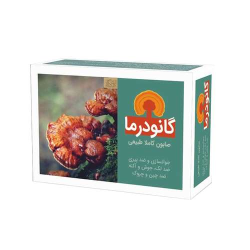 صابون شستشو ایران گیاه مدل گانودرما وزن 75 گرم