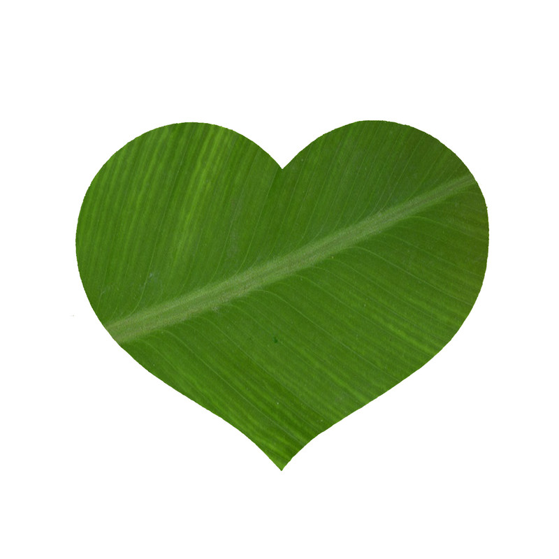 پادری مدل قلب طرح برگ کد 8003 سایز 90x90 سانتی متر 