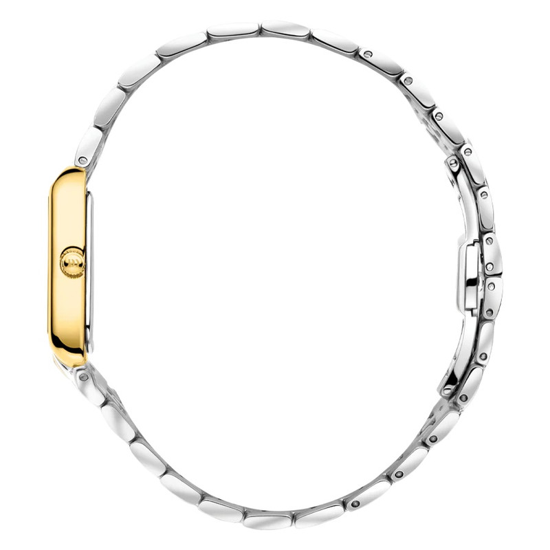 ساعت مچی عقربه‌ای زنانه دنیش دیزاین مدل IV93Q1299