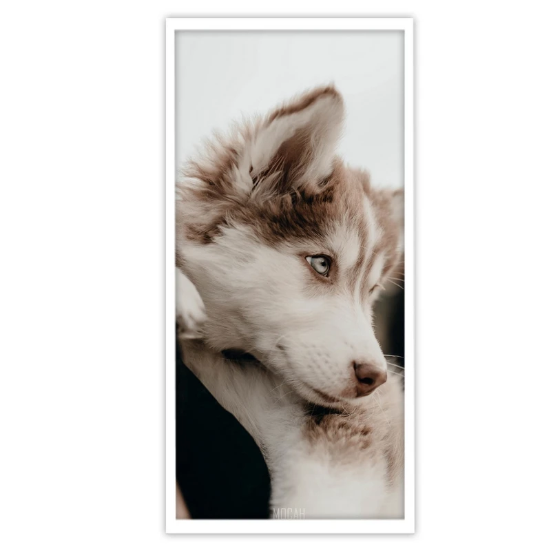 تابلو بکلیت طرح حیات وحش سگ هاسکی مدل W-S3104