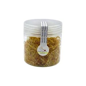 ریشه زعفران گنج مشرق زمین - 10 گرم