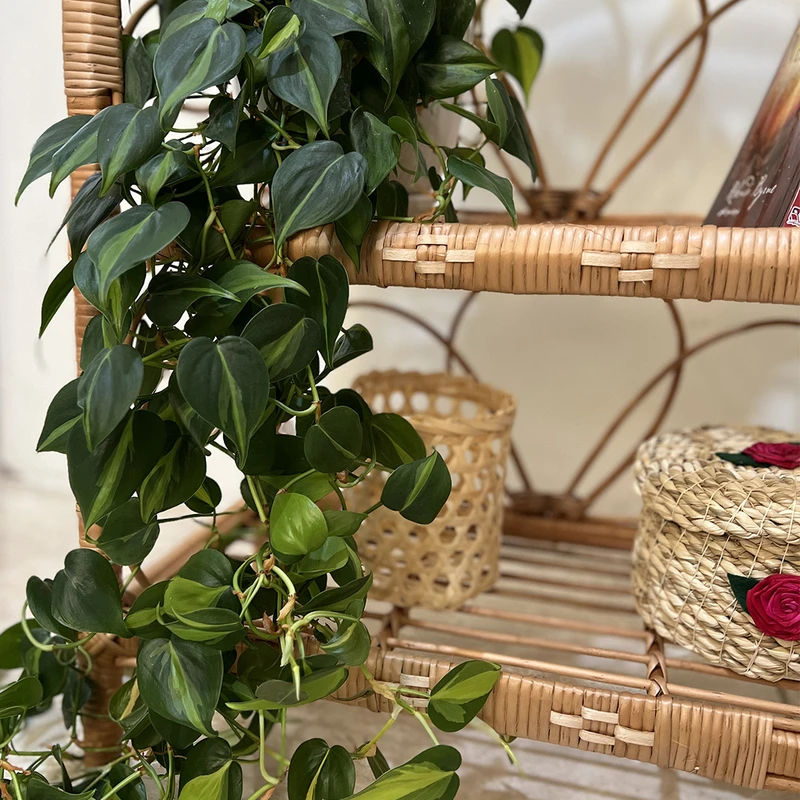 عکس شماره 9 : کتابخانه حصیری مدل هلالی طرح سه طبقه