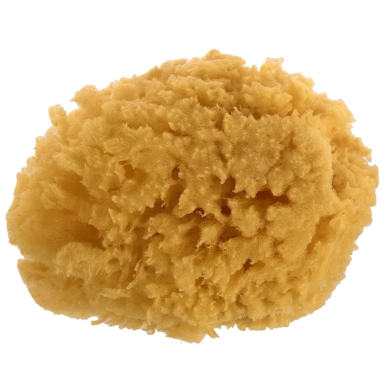 اسفنج شستشوی بدن سوآوی پیل سری Baby مدل Natural Sea