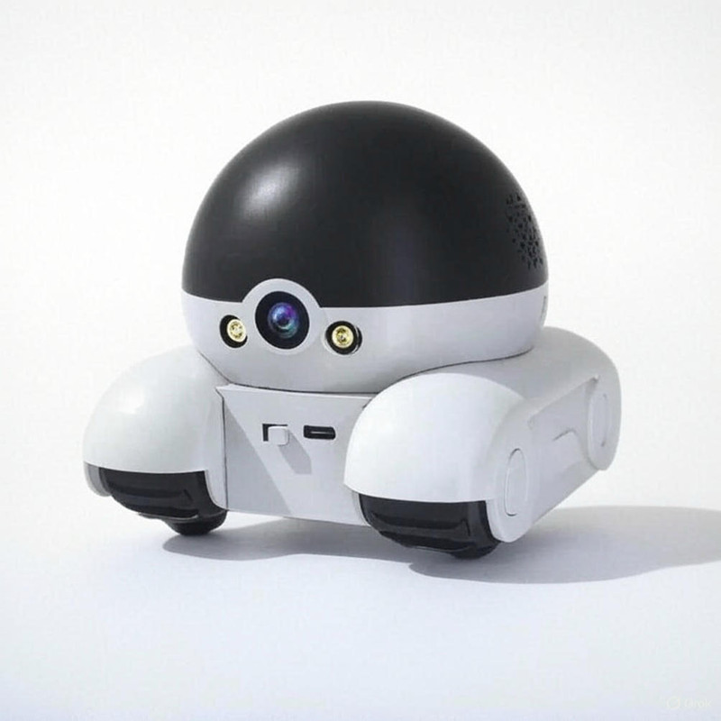 دوربین مداربسته تحت شبکه مدل QianNiao Lian