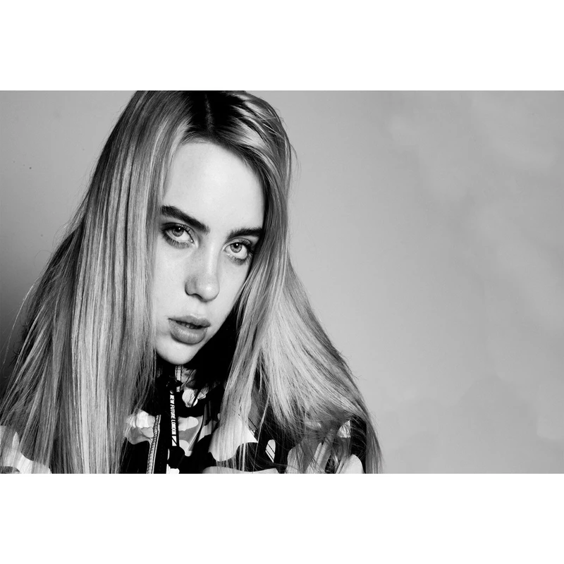 تابلو شاسی مدل خواننده بیلی آیلیش کد T5594