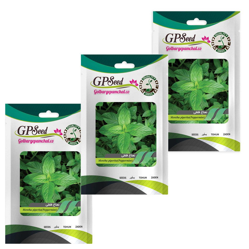 بذر نعناع فلفلی گلبرگ پامچال A14 مدل مجموعه 3 عددی