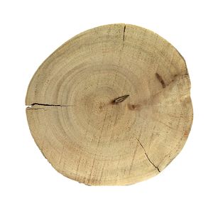نقد و بررسی تخته چوب مدل تنه درخت چنار کد a20 توسط خریداران