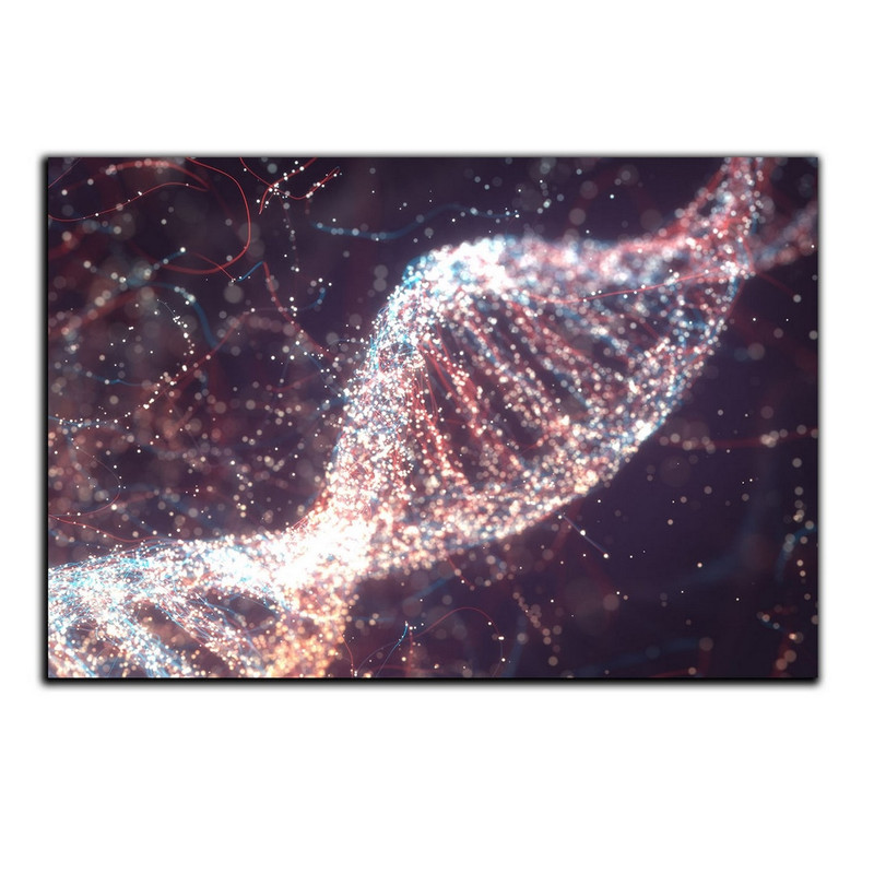 تابلو شاسی بکلیت طرح ژنتیک و DNA مدل SH-S5021