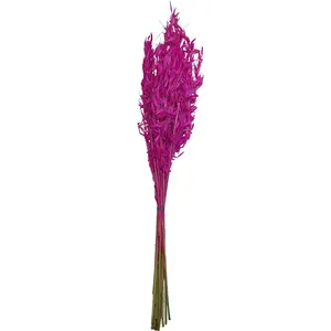 گل خشک مدل یولاف