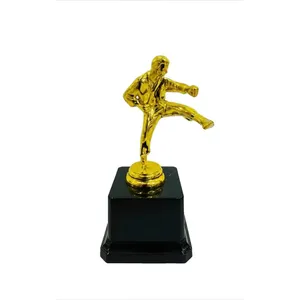 تندیس مدل کاراته h13