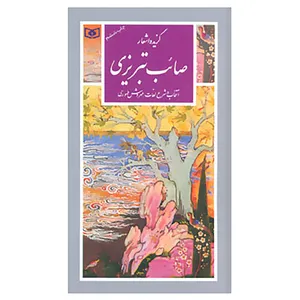 کتاب گزینه ادب پارسی17 اثر محمدعلی صائب تبریزی