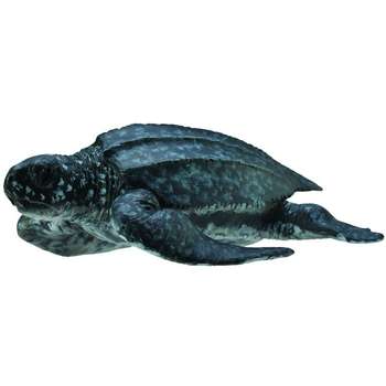 عروسک کالکتا مدل Sea Turtle 88680  طول 8 سانتی متر