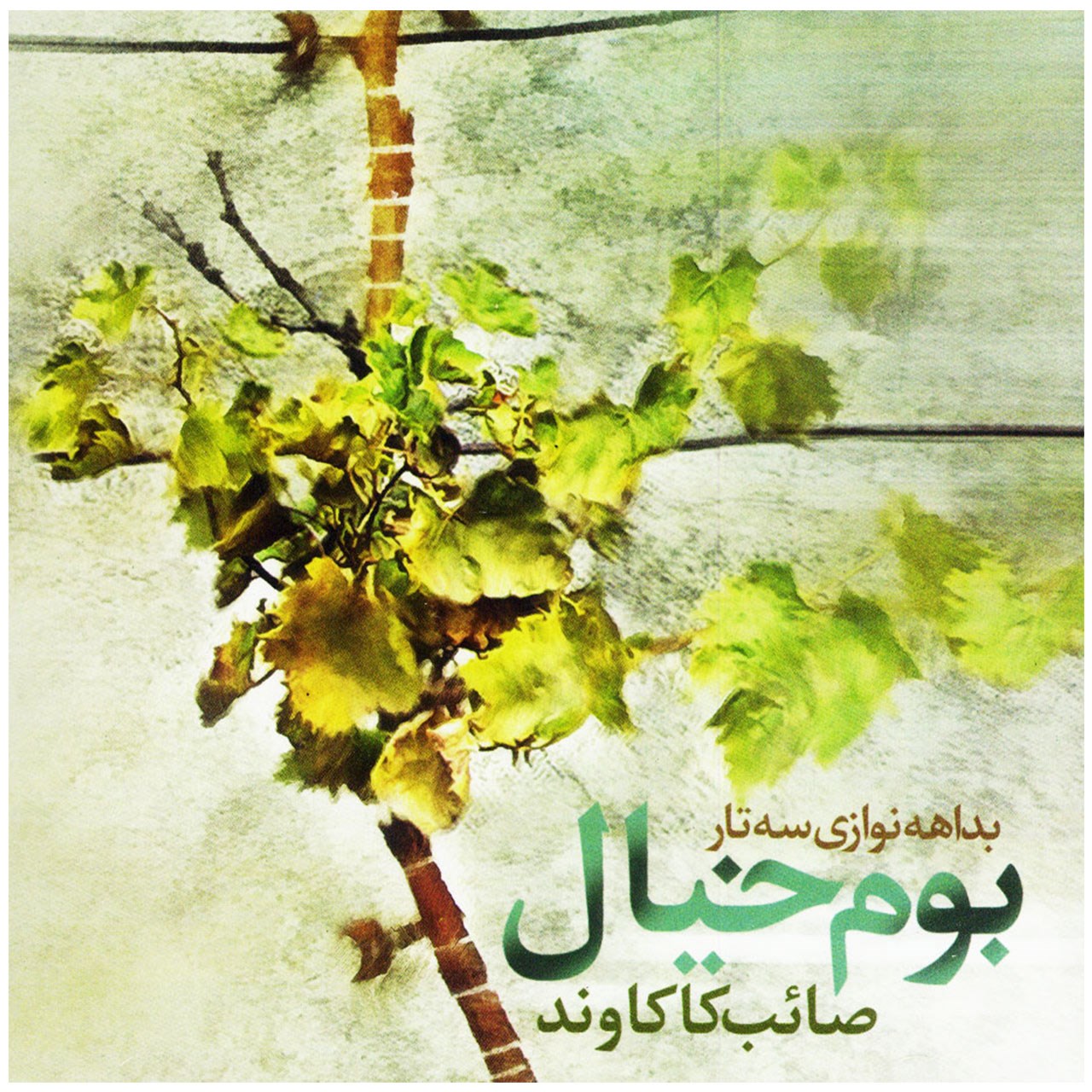 آلبوم موسیقی بوم خیال اثر صائب کاکاوند