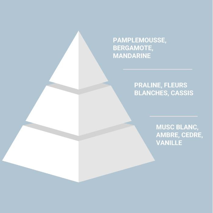 ادو پرفیوم مردانه الیسیس فشن مدل wood حجم 100 میلی لیتر