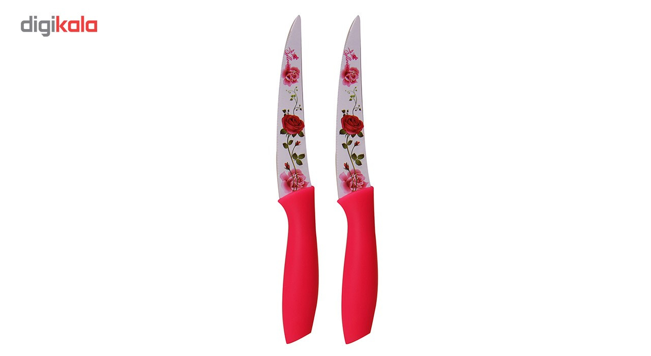 ارزان چاقوی رجینال مدل P002-2 بسته دو عددی چاقوی رجینال مدل P002-2 بسته دو عددی