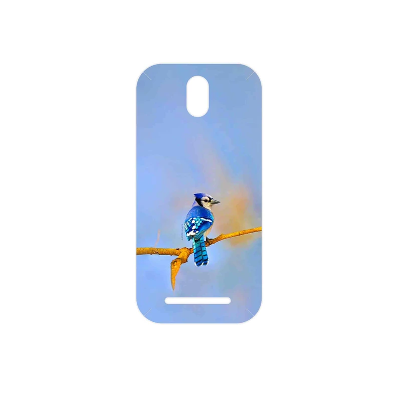 برچسب پوششی ماهوت مدل Cyanocitta cristata مناسب برای گوشی موبایل اچ تی سی Desire 500