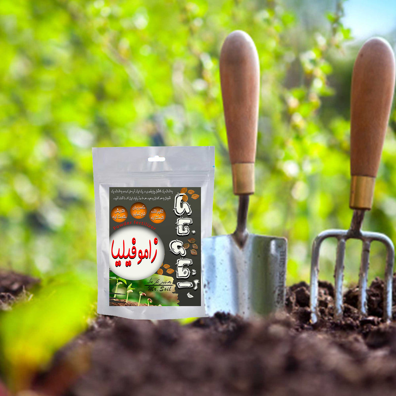 کود پودری زاموفیلیا آقای خاک مدل ZAM وزن 50 گرم