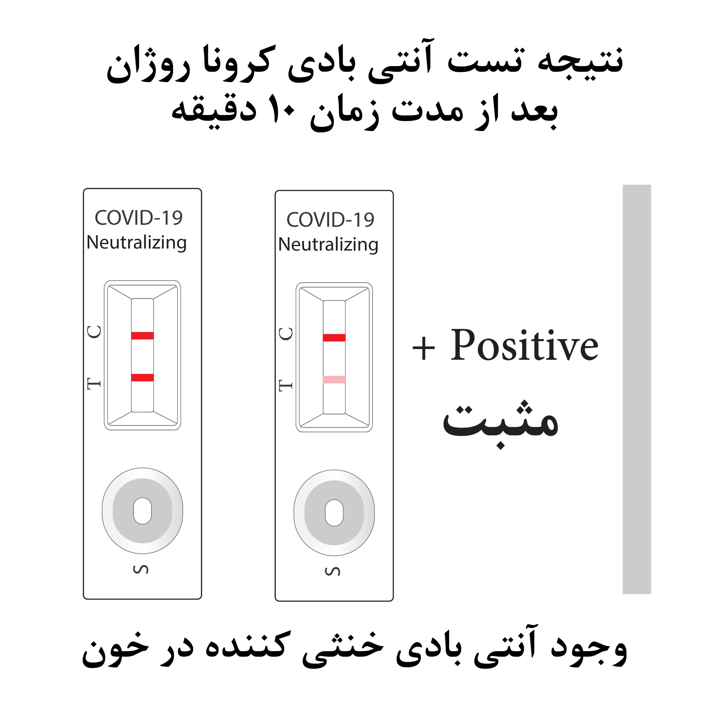 تست سریع آنتی بادی مدل 10min
