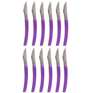 کارد میوه خوری سی اند اس مدل 8563 ARC بسته 12 عددی