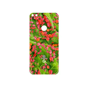 MAHOOT Atom Universe 3 Cover Sticker for Google Pixel XL