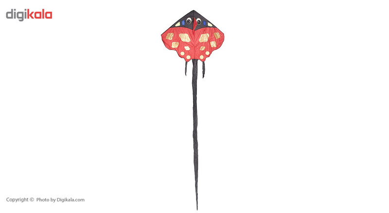 بادبادک طرح Ladybird سایز 3