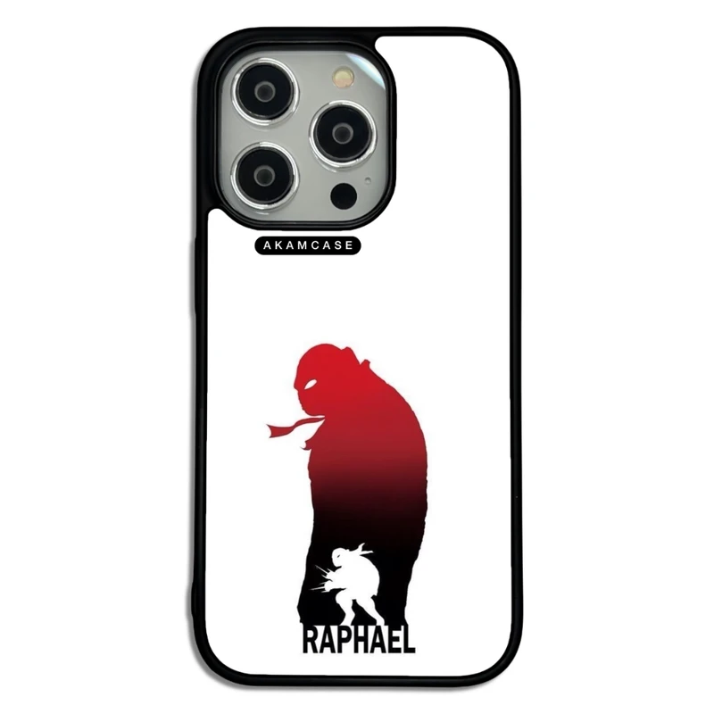 کاور آکام مدل AMC-WA14PRO-NINJA TURTLES7 مناسب برای گوشی موبایل اپل iPhone 14 Pro