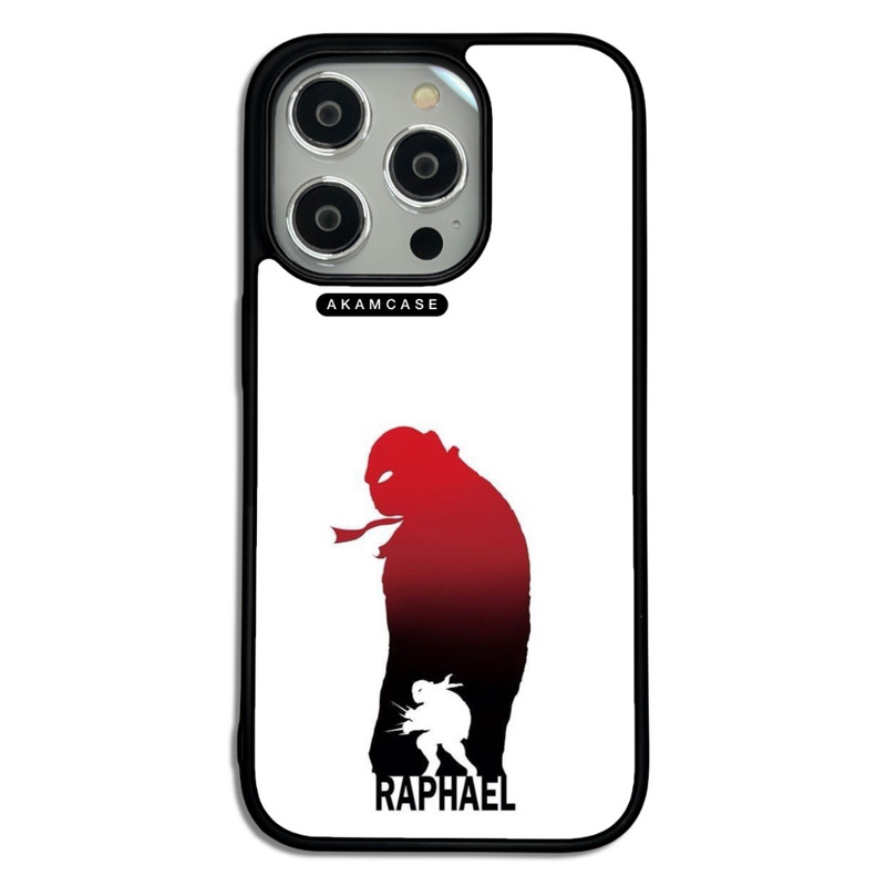 کاور آکام مدل AMC-WA14PRO-NINJA TURTLES7 مناسب برای گوشی موبایل اپل iPhone 14 Pro