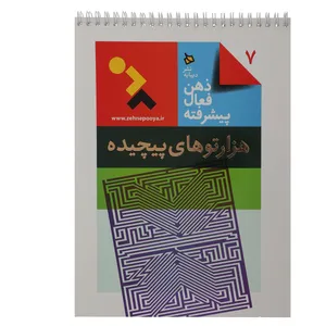 کتاب هزارتوهای پیچیده اثر لی‌ دنیل کویین