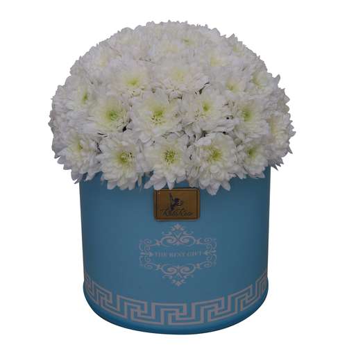 سبد گل طبیعی داودی راتا رز کد VT