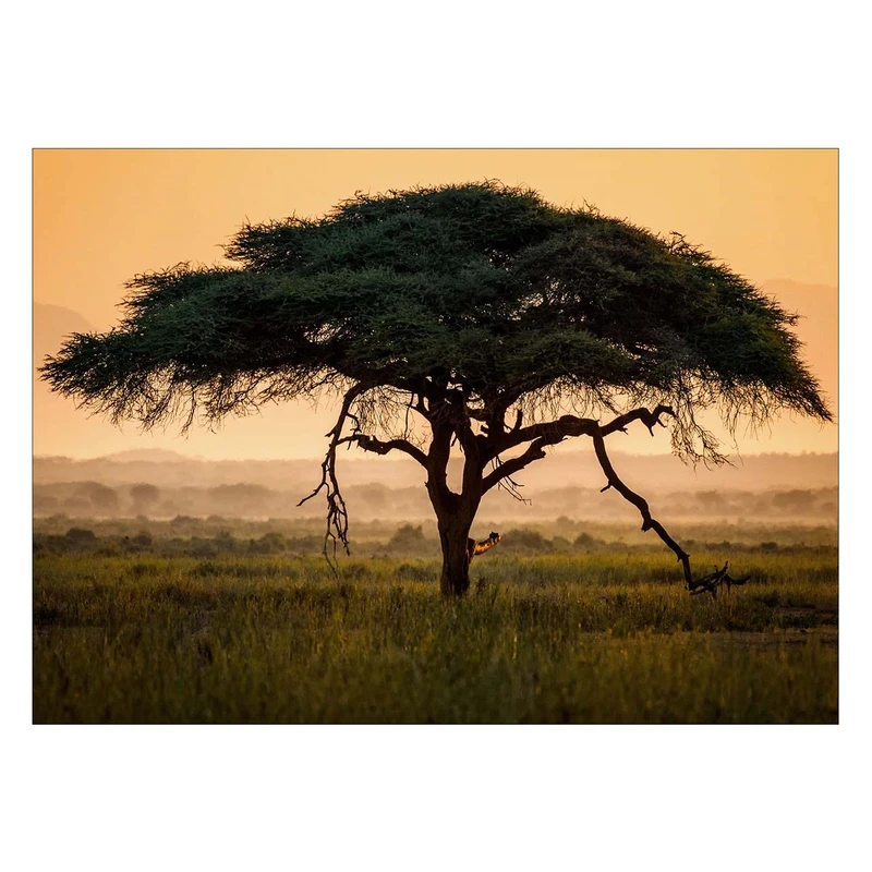 تابلو شاسی ونسونی طرح Alone Tree سایز 30x40 سانتی متر