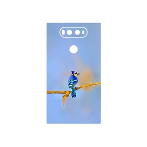 MAHOOT Cyanocitta cristata Cover Sticker for LG V20