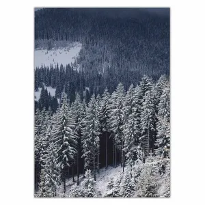 تابلو شاسی ونسونی طرح Snowy Mountain سایز 50x70 سانتی متر