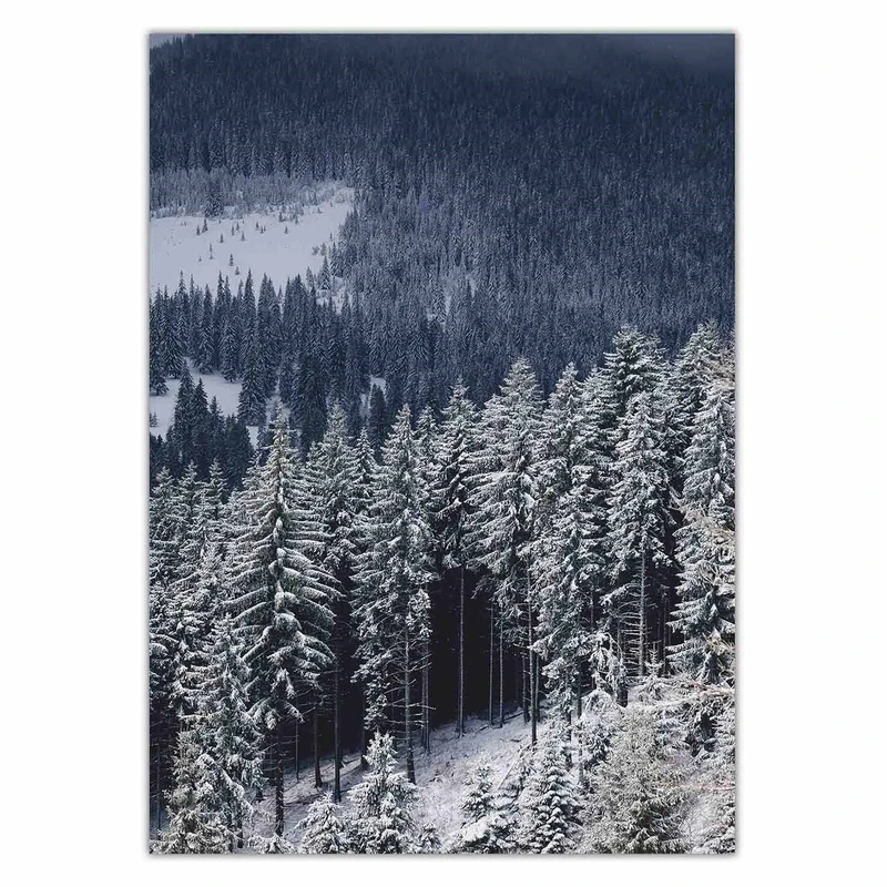 تابلو شاسی ونسونی طرح Snowy Mountain سایز 50x70 سانتی متر