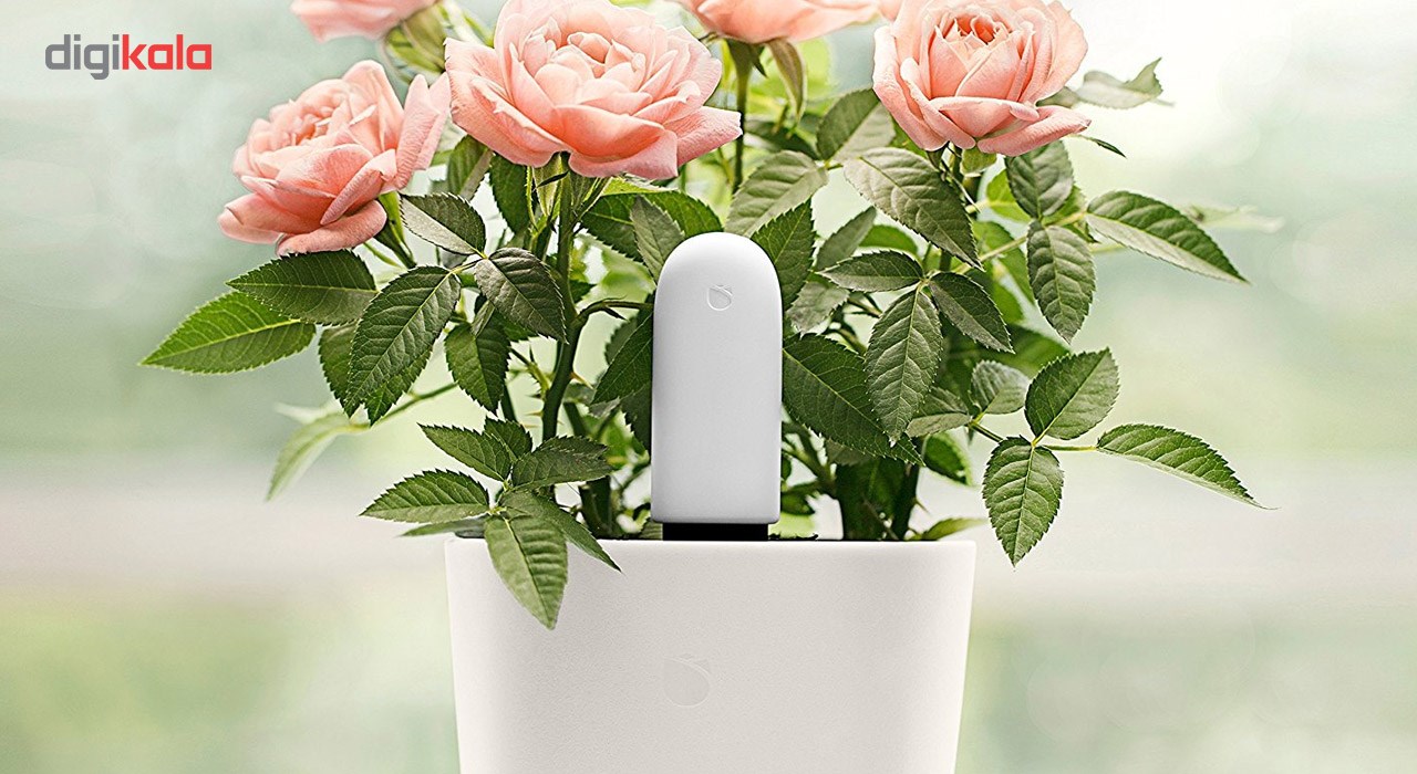 Mi Flower Monitor Xiaomi Купить