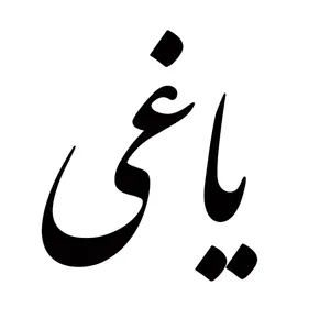 برچسب بدنه خودرو مدل یاغی کد SP09
