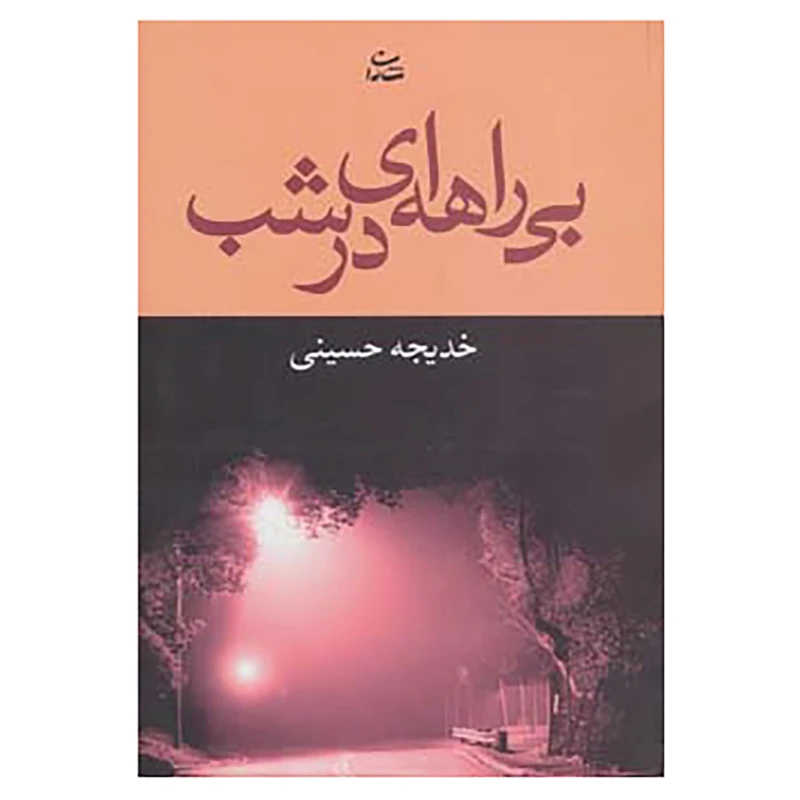 کتاب بی راهه ای در شب اثر خدیجه حسینی