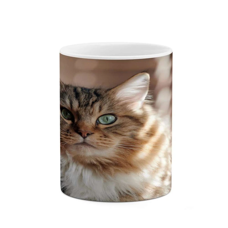 ماگ کاکتی مدل گربه کد mgh15422