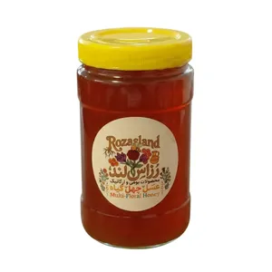 عسل طبیعی کوهستان - 900 گرم