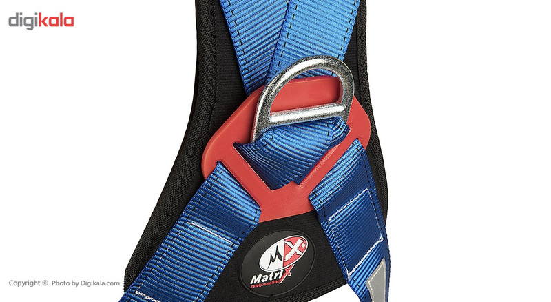 هارنس ماتریکس مدل Golden Eagle