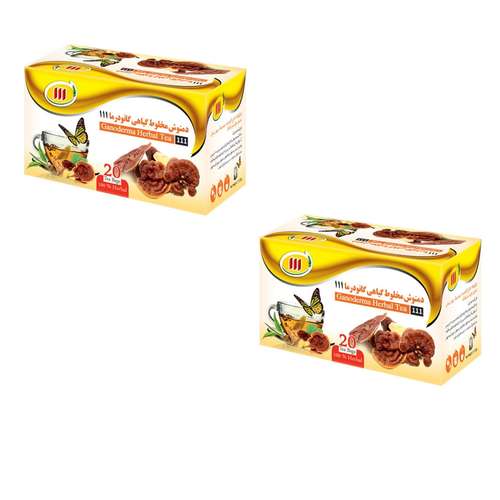 دمنوش گانودرما 111 - 48 گرم بسته 2 عددی