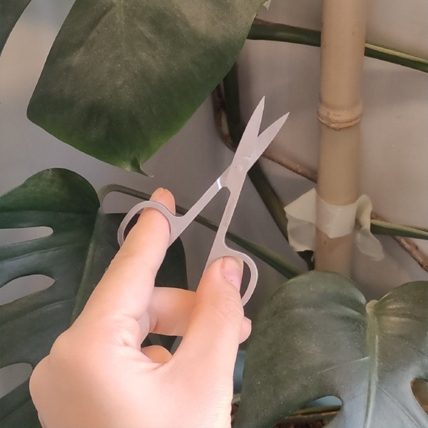 قیچی ابرو ورژن مدل GhA401